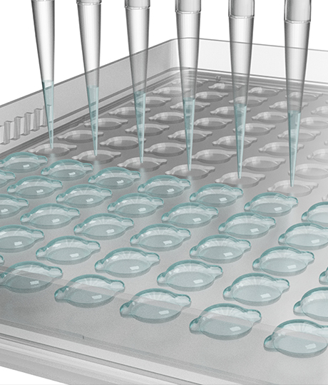 다중 면역 검사