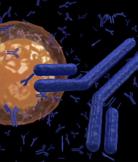 단일 세포 분석
